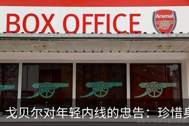 戈贝尔对年轻内线的忠告：珍惜身体，发挥特长